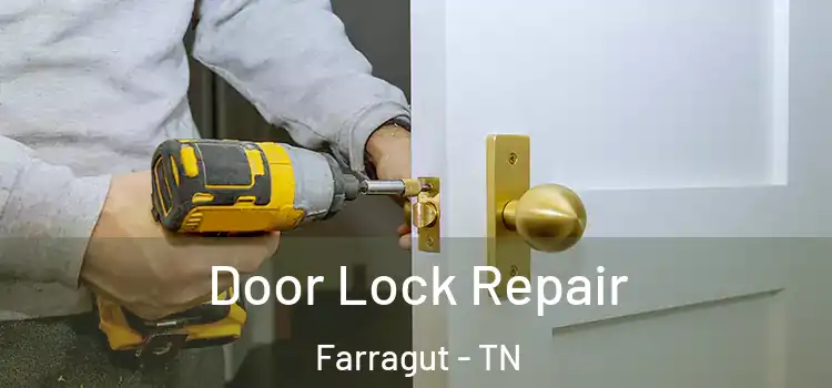 Door Lock Repair Farragut - TN
