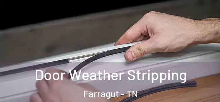 Door Weather Stripping Farragut - TN