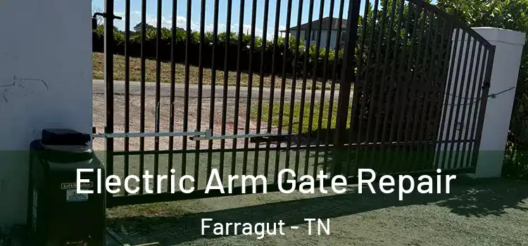 Electric Arm Gate Repair Farragut - TN