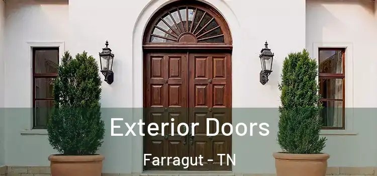 Exterior Doors Farragut - TN
