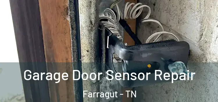 Garage Door Sensor Repair Farragut - TN