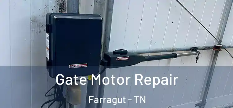 Gate Motor Repair Farragut - TN