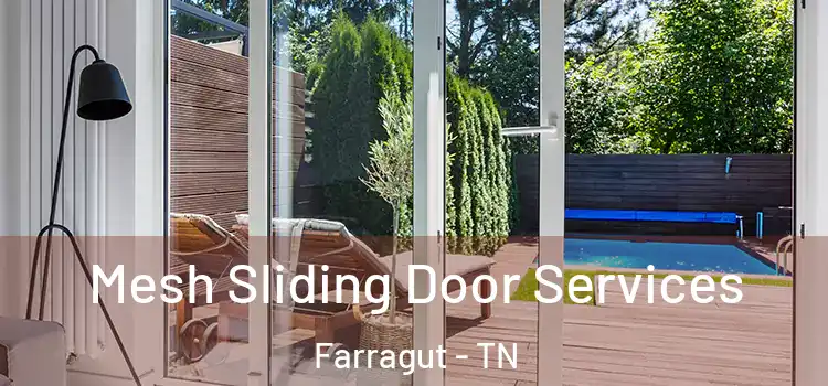 Mesh Sliding Door Services Farragut - TN