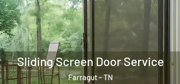 Sliding Screen Door Service Farragut - TN