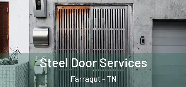 Steel Door Services Farragut - TN