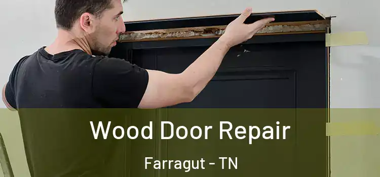 Wood Door Repair Farragut - TN
