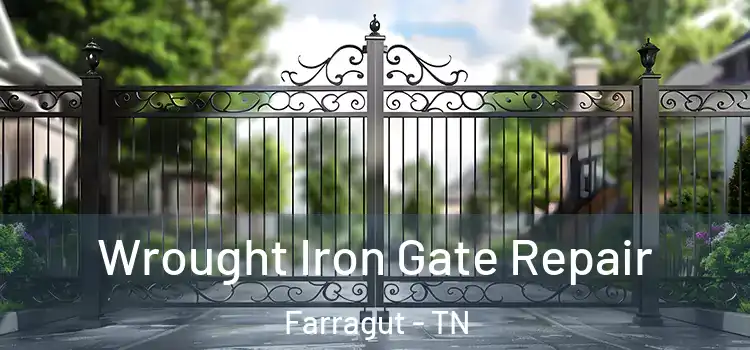 Wrought Iron Gate Repair Farragut - TN